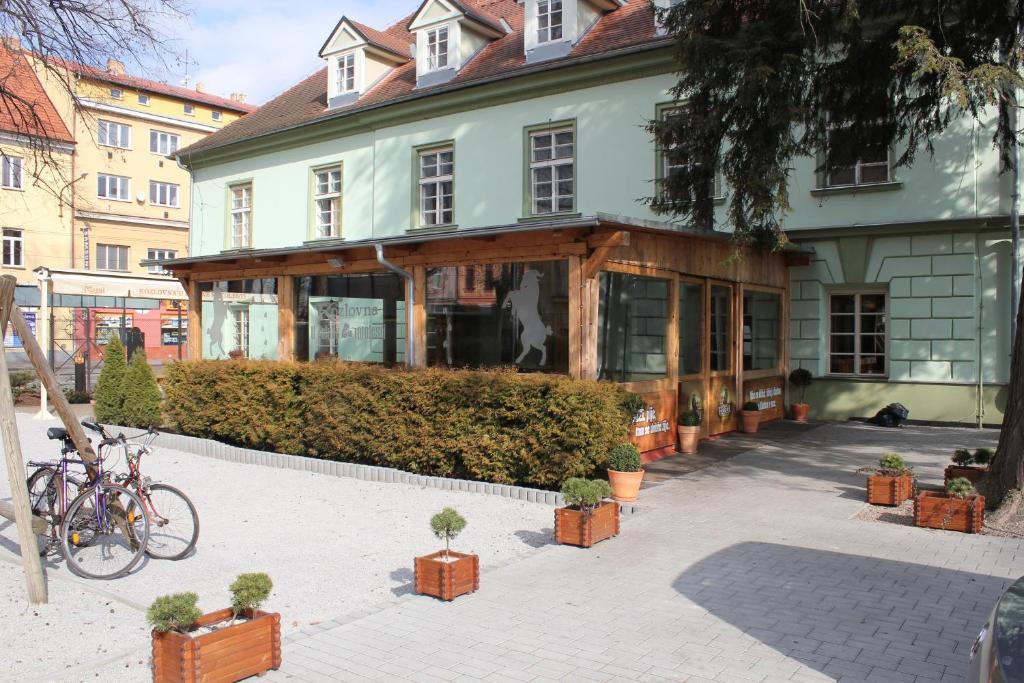 Hotel Zelena Ratolest Czeskie Budziejowice Zewnętrze zdjęcie