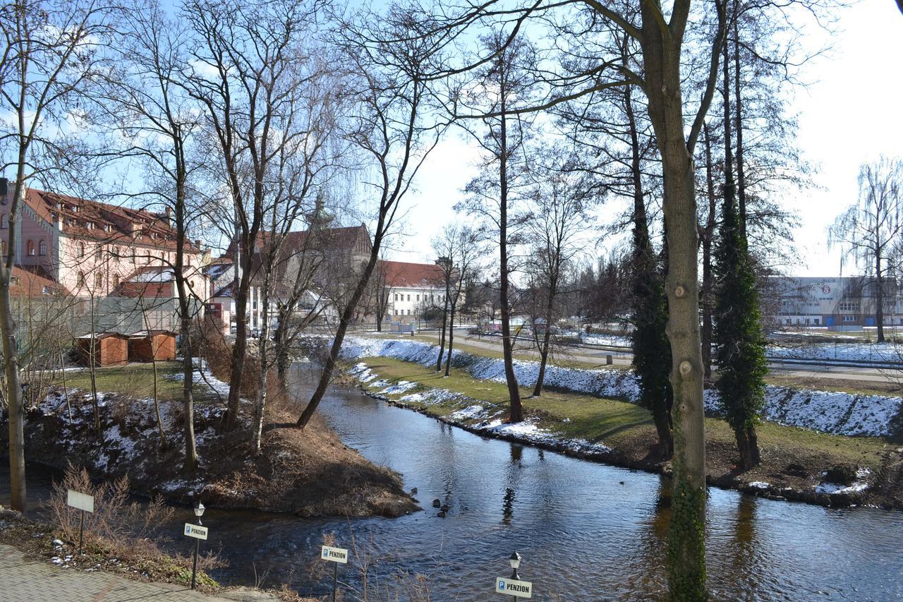 Hotel Zelena Ratolest Czeskie Budziejowice Zewnętrze zdjęcie