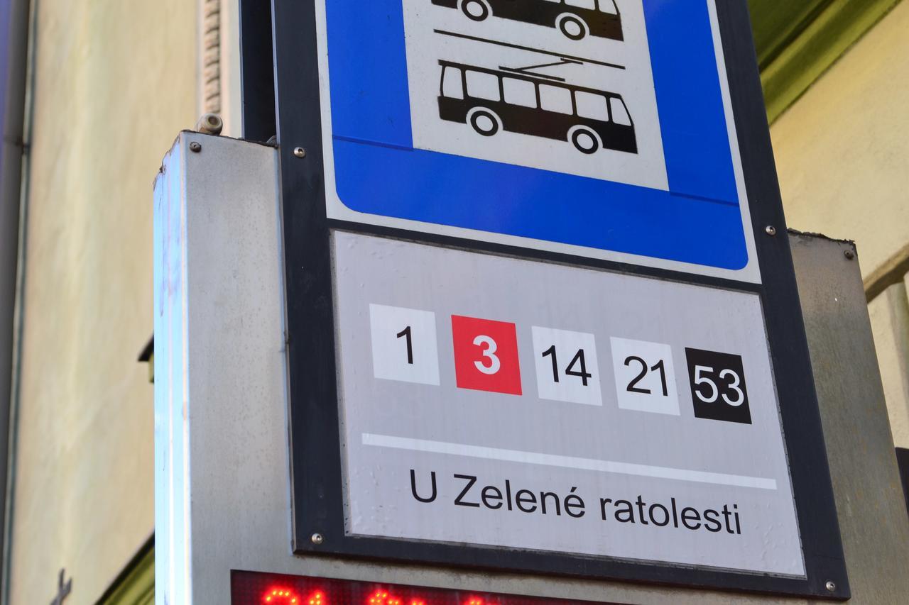 Hotel Zelena Ratolest Czeskie Budziejowice Zewnętrze zdjęcie